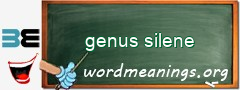 WordMeaning blackboard for genus silene